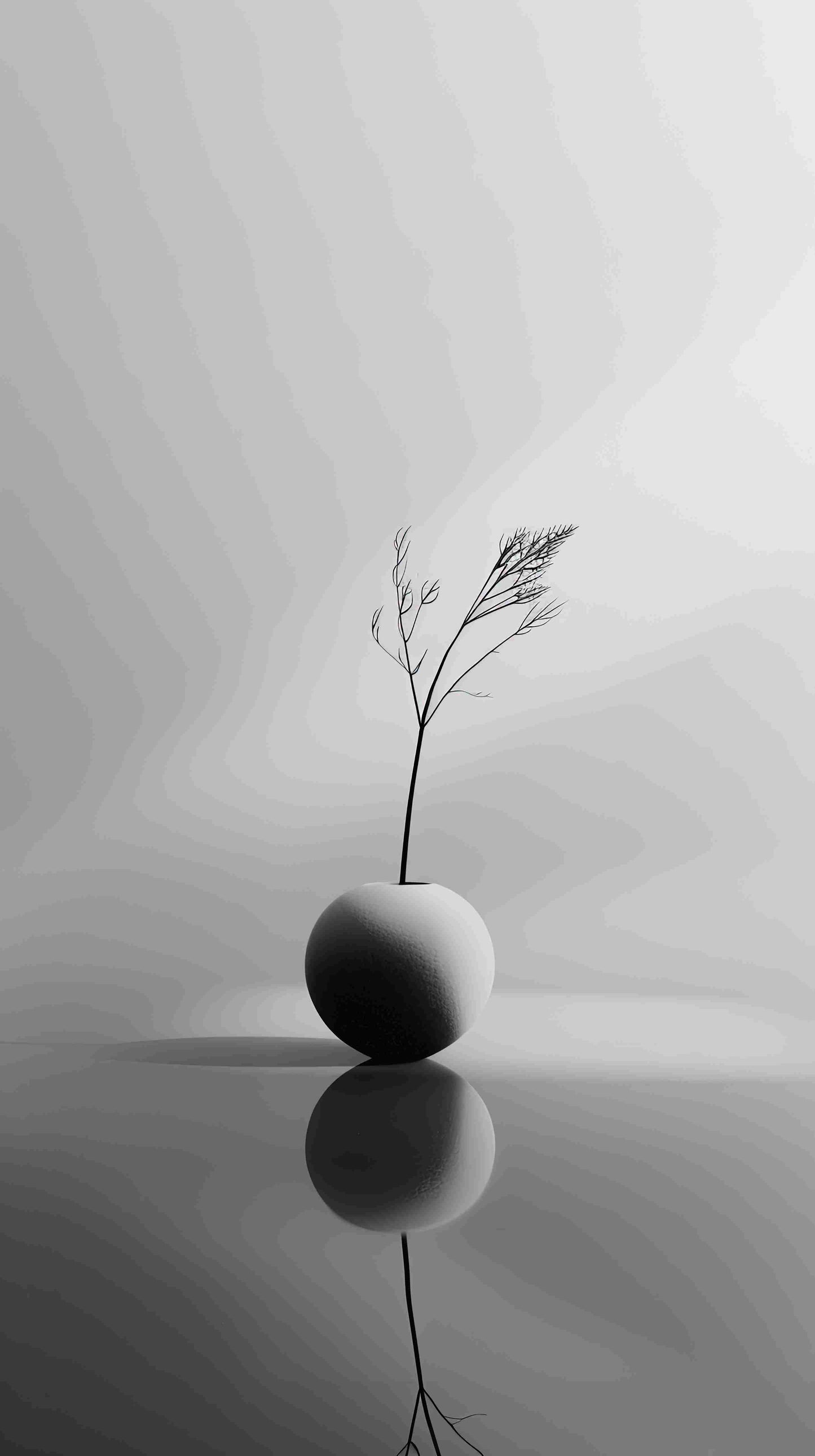 Maceta blanco y negro
